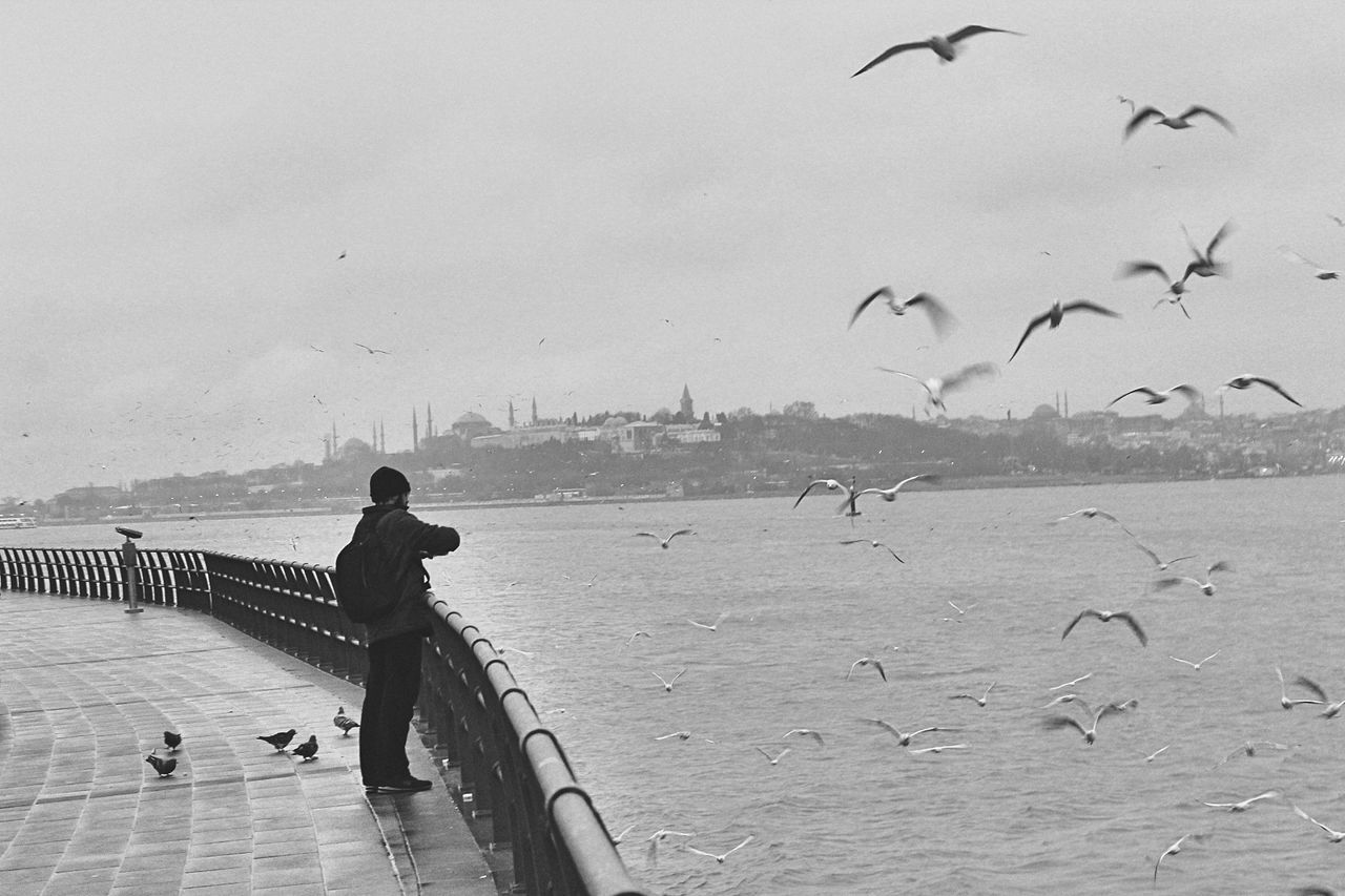 bird, water, vertebrate, animals in the wild, animal wildlife, large group of animals, group of animals, sea, real people, flying, sky, lifestyles, nature, leisure activity, full length, day, people, flock of birds, seagull, outdoors