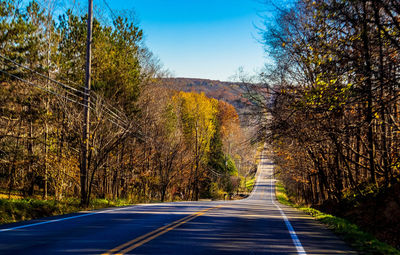 Road amidst trees against clear sky