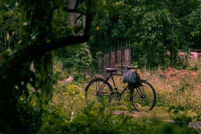 Bicycle parked by tree on field