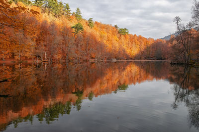 Reflection of trees in lake against sky during autumn