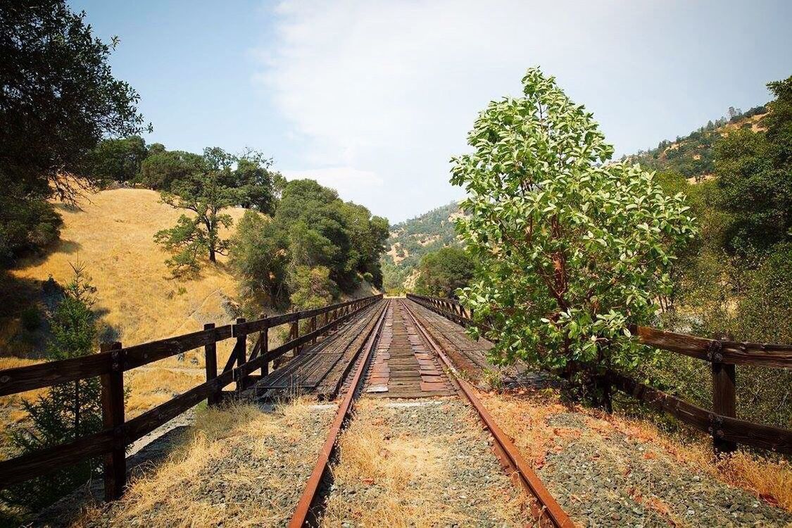 RAILROAD TRACK BY TREES AGAINST SKY