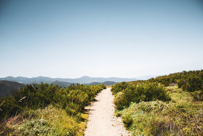 Stone path surrounded by vegetation against mountains and blue sky