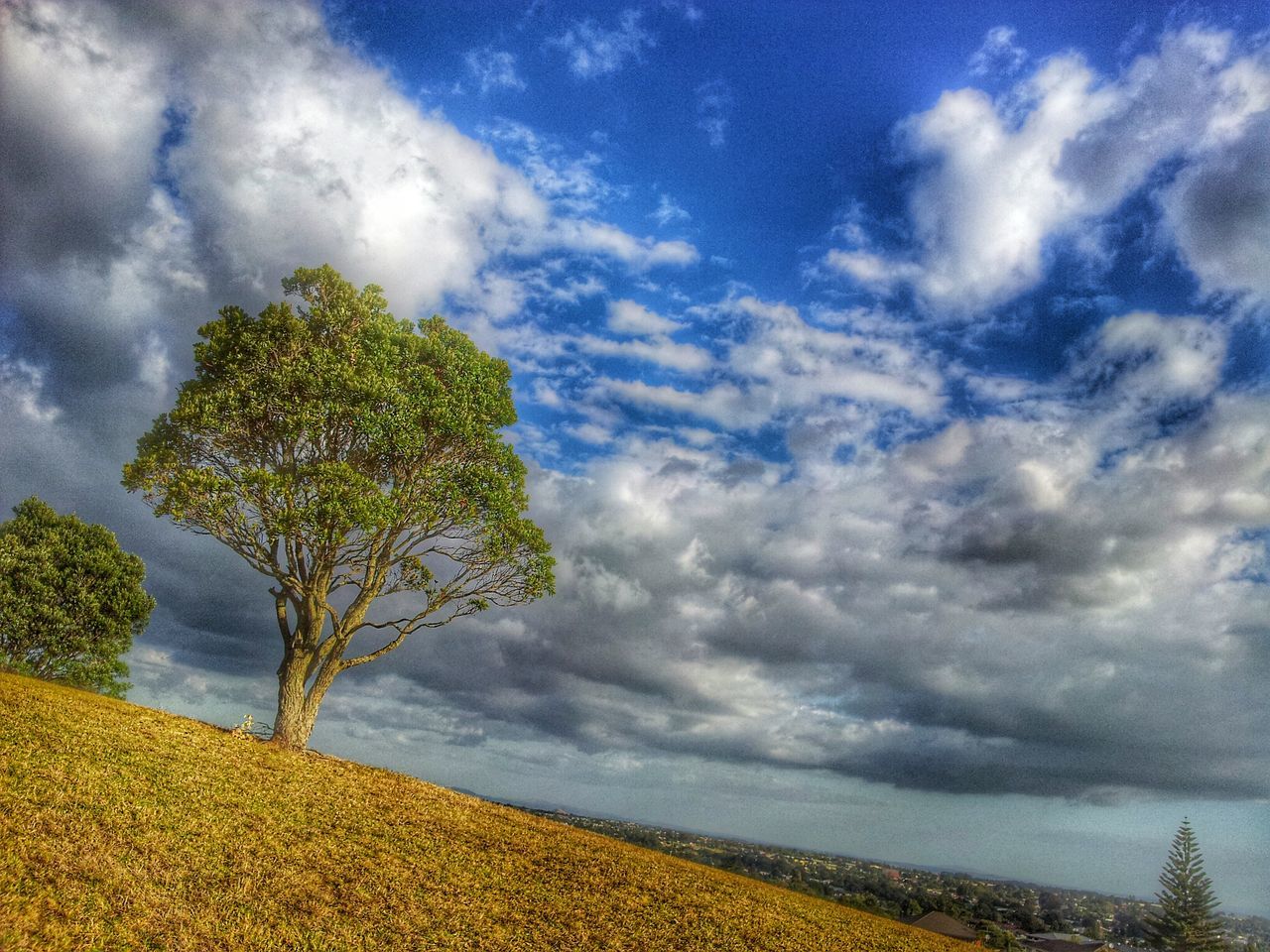 sky, cloud - sky, tranquility, tranquil scene, cloudy, beauty in nature, scenics, nature, tree, cloud, growth, landscape, idyllic, water, plant, field, weather, outdoors, day, no people