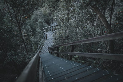 Bridge in forest