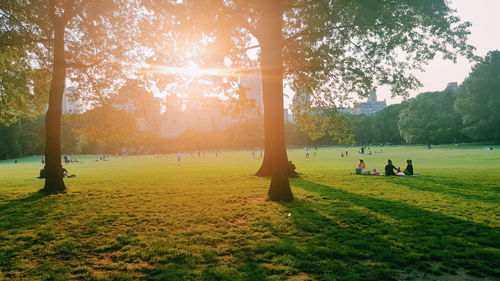 Group of people relaxing on grassland