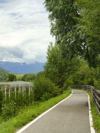 Road amidst trees against sky