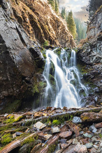 Scenic view of waterfall in forest