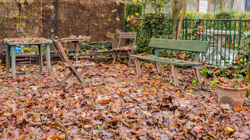 Chairs and bench on leaves covered park during autumn