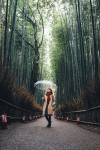 Woman standing amidst bamboo plants in forest
