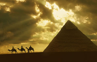 
a camel ride through the pyramids of giza, egypt