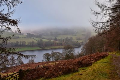 Scenic view of lake by trees against sky