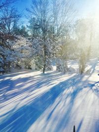 Bare trees on snow covered landscape