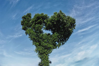 Low angle view of tree against sky