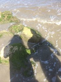 High angle view of beach