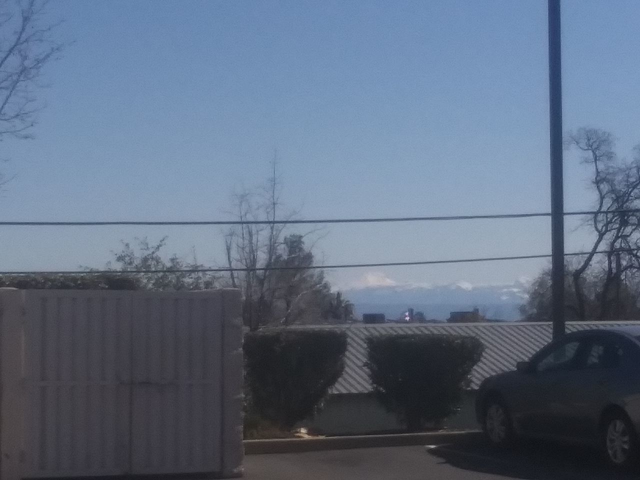 ROAD BY TREES AGAINST CLEAR SKY