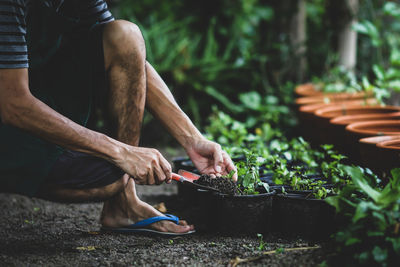 Low section of man standing by plants