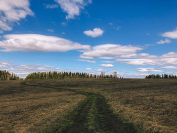 Scenic view of agricultural field against sky