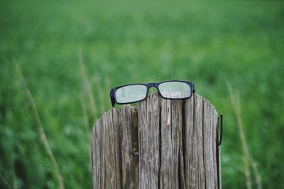 Close-up of wooden post on field