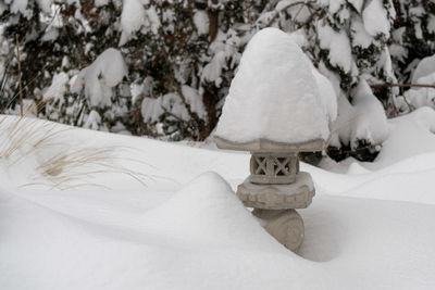 Close-up of snow covered land