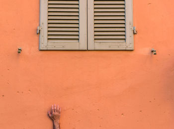 Close-up of orange window