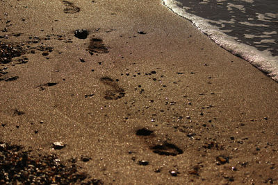 High angle view of footprints on wet sand