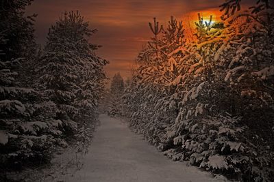 Road amidst trees against sky during sunset