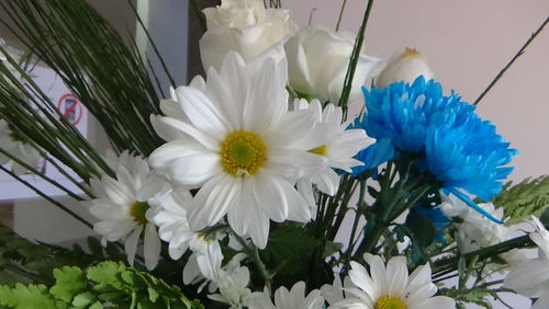 Close-up of flowers blooming outdoors