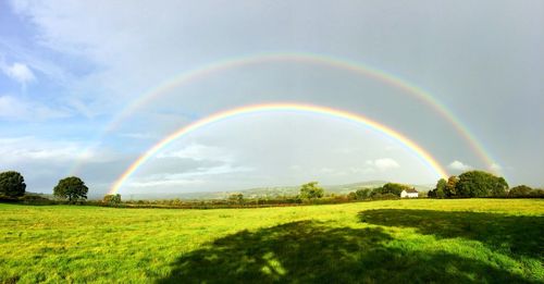 Scenic view of rainbow over field