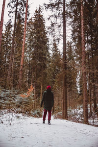 Rear view of man walking on snow covered landscape