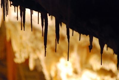 Stalactites. cabrespine cave. france.