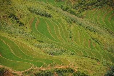 High angle view of fields