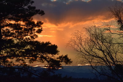 Silhouette trees on landscape against sky during sunset