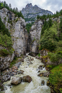 Scenic view of waterfall in forest