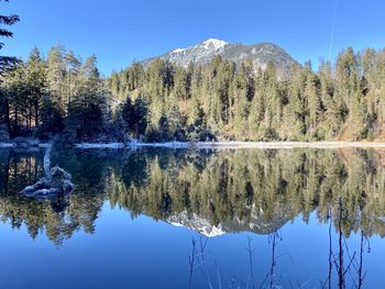 Reflection of trees in lake against clear sky