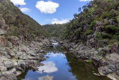 Scenic view of river amidst trees against sky