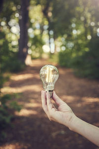 Hand holding lightbulb