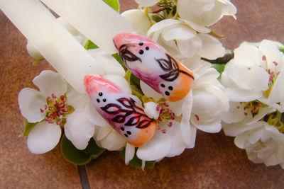 High angle view of white flowers on table