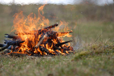 Bonfire on field