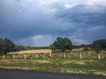 Trees on field against sky during rainy season