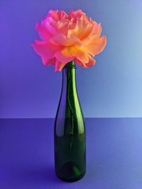 Close-up of flower vase on table against blue background