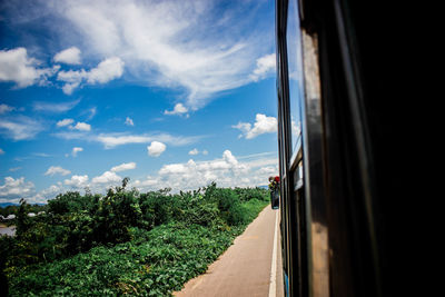 Road by trees against sky seen through window