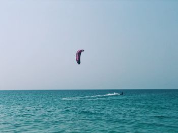 Person windsurfing over sea against clear sky