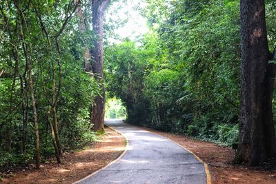 Empty road amidst trees in forest