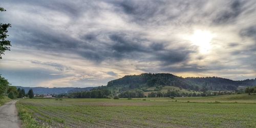 Scenic view of field against sky