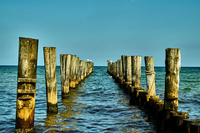 Wooden pier in sea against clear sky