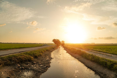 Dirt road amidst agricultural field against sky during sunset