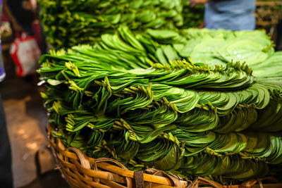 Close-up of betal leaf sale in market