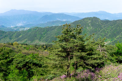 Scenic view of mountains against sky