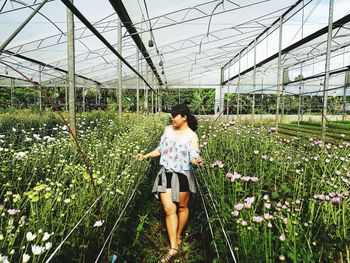 Woman standing amidst plants at greenhouse