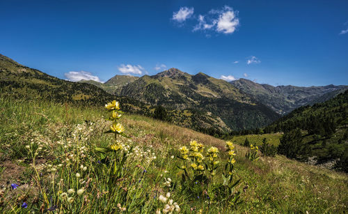 Scenic view of mountains against blue sky